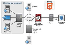 HTML5培訓與開發 火龍果軟件助力軟件開發技能提升