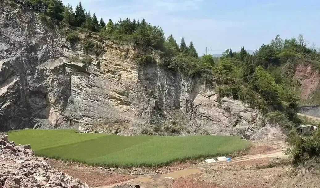 桑植縣人民檢察院 “一礦一策”，800余畝礦山重披綠衣！生態(tài)恢復成效顯著