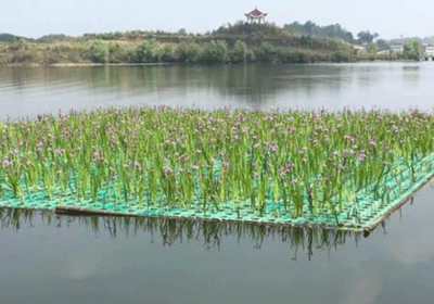 人工浮島探秘 河流生態(tài)浮島的作用與恢復(fù)時(shí)長(zhǎng)解析