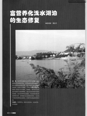富營養(yǎng)化淺水湖泊中水生植被的生態(tài)恢復方法