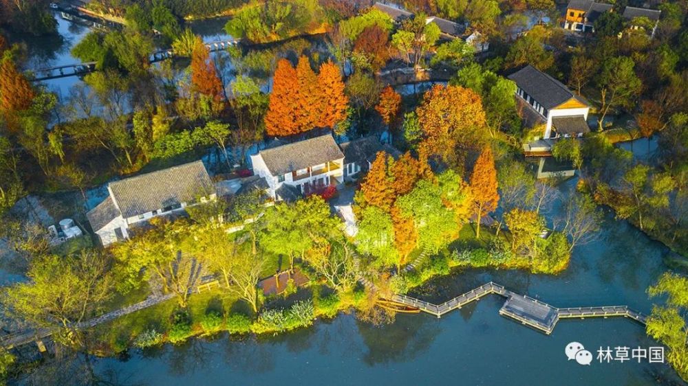 濕地保護中的生態(tài)奇跡 西溪國家濕地公園締造四方共贏典范
