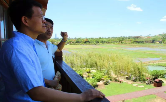 加強(qiáng)濕地生態(tài)治理 助推農(nóng)業(yè)與旅游深度融合——張?jiān)迫A副部長(zhǎng)一行調(diào)研水稻國(guó)家公園生態(tài)恢復(fù)工作