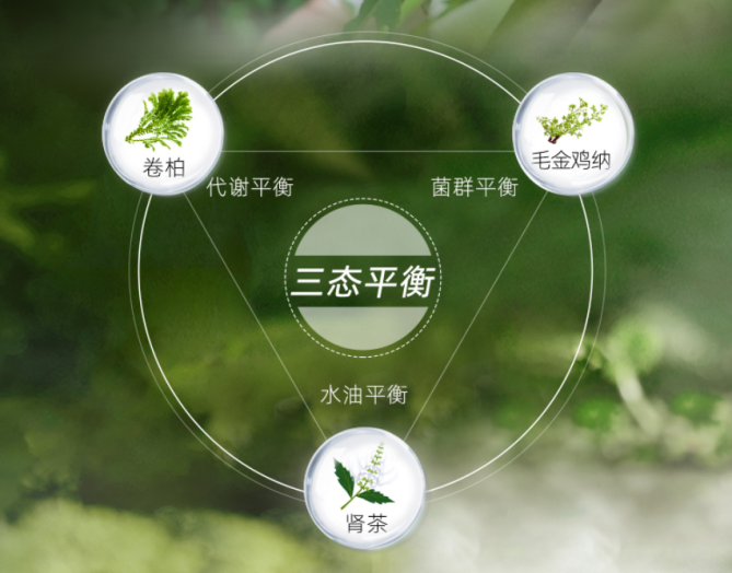 舒霖頭皮“三態(tài)平衡”理念成為中國(guó)頭皮護(hù)理行業(yè)標(biāo)桿，引領(lǐng)生態(tài)恢復(fù)新紀(jì)元